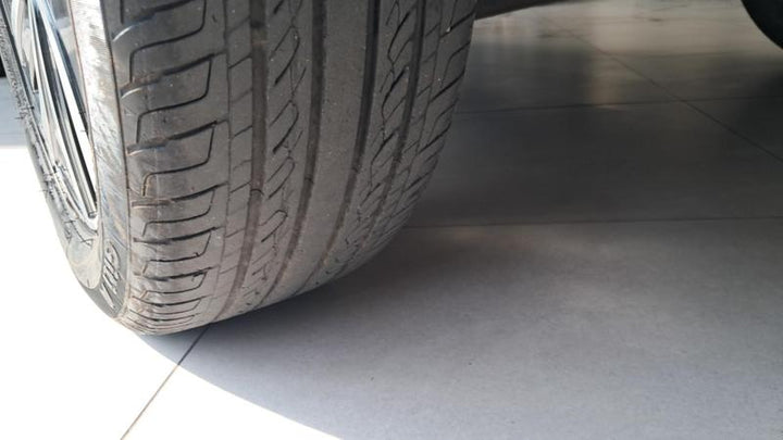 Polo Preto Highline [2024]